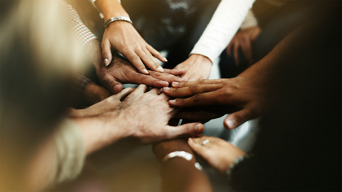 Princípios e Valores Cooperativos